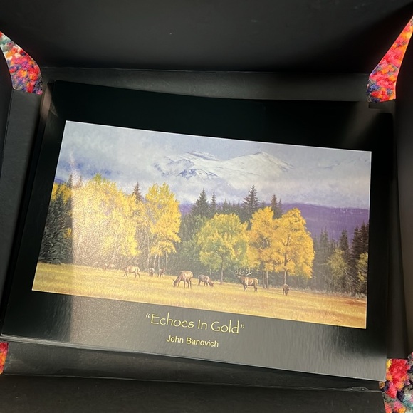 🤿New John Banovich set of postcards oil painting - Picture 7 of 8